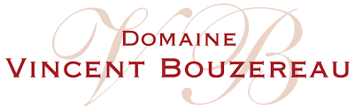 VINCENT BOUZEREAU